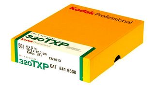 Kodak Professional Tri-X 320 4" x 5" (10 Sheets)