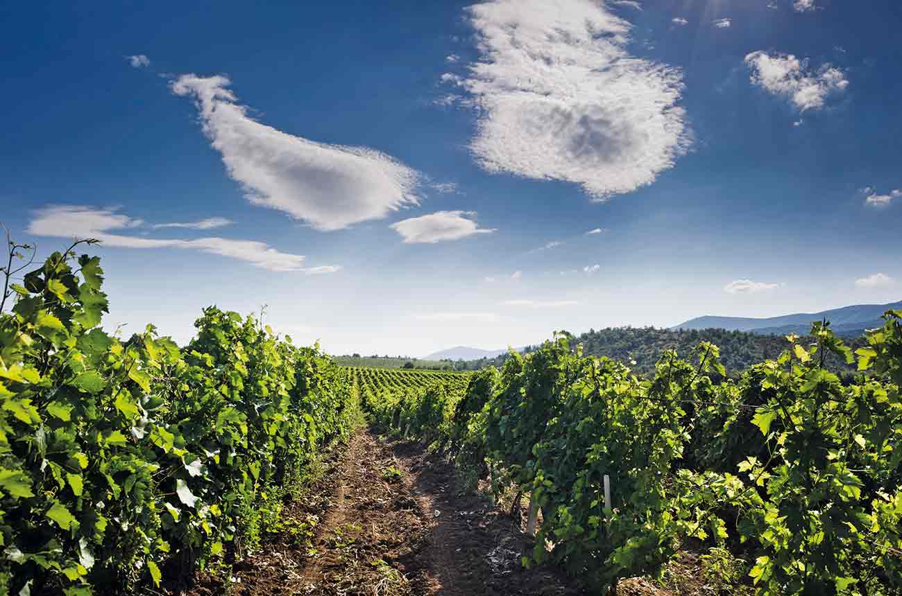 macedonia.microlocation_barovo_tikves_wine_region_2.jpg