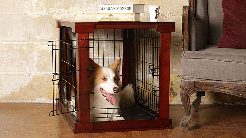 separation anxiety dog crate