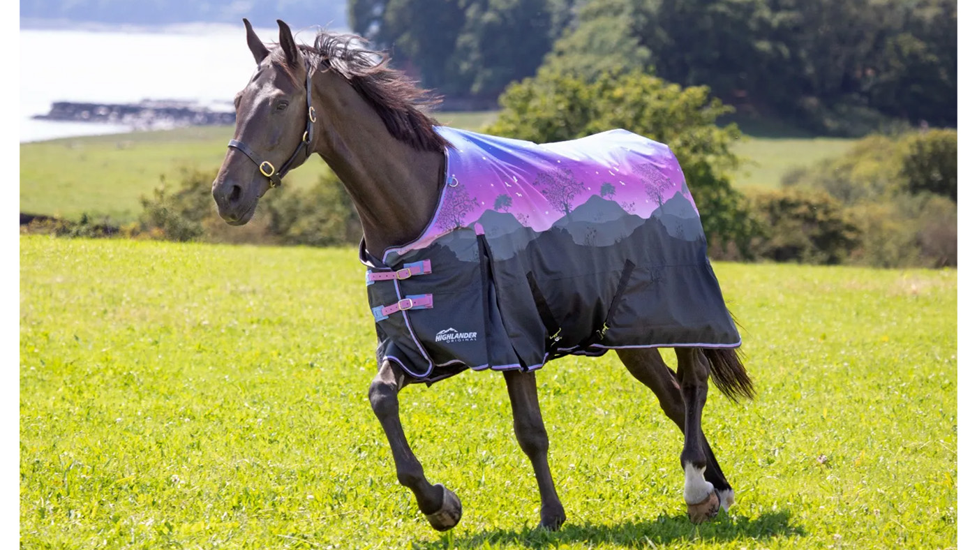 Shires Spring Morning patterned horse rugs