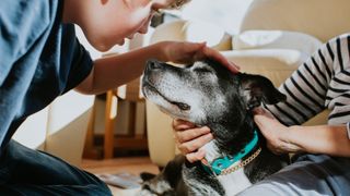 Two children petting a black and white dog