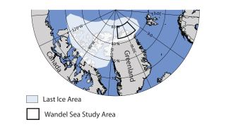 The study looked at the Wandel Sea north of Greenland, which is inside what’s known as the “last ice area” of the Arctic Ocean.