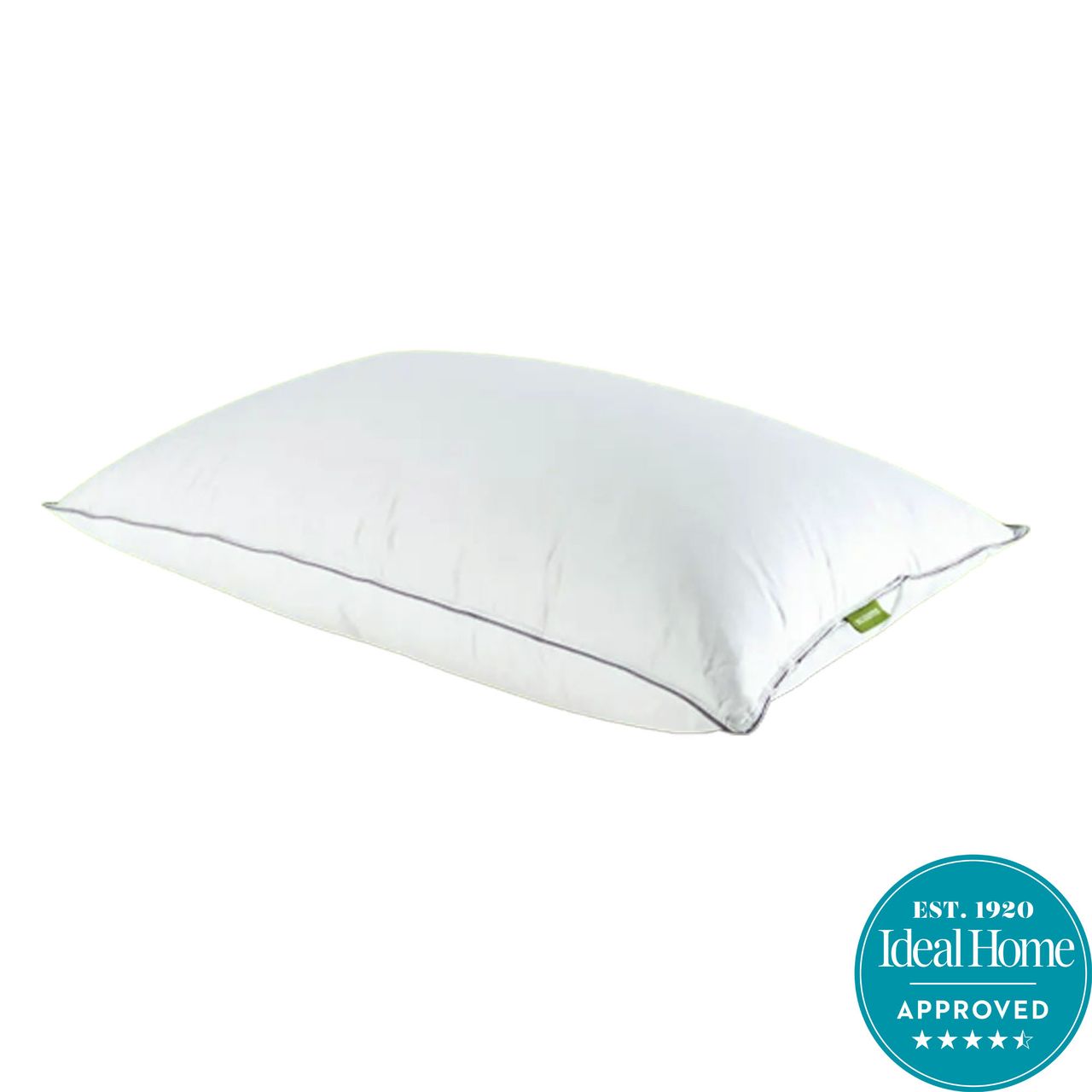 White Scooms Hungarian goose down pillow with grey edges on a white background