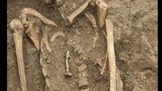 A close up of a half unearthed skeleton with a metal nail resting to the left of its ribcage