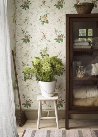 book shelves and plant with floral wallpaper