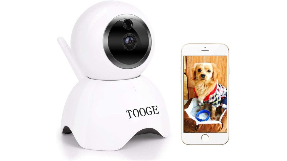 pet camera talk to your pet