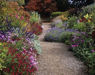 A natural planting scheme with a gravel path