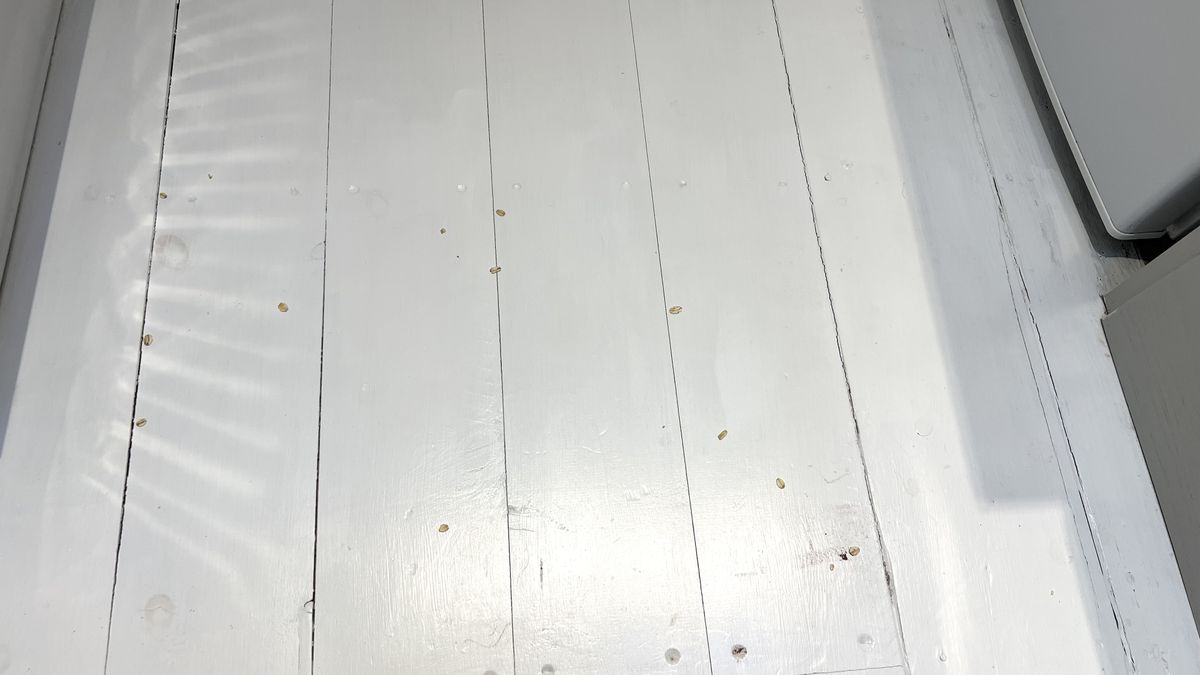 Leftover oats