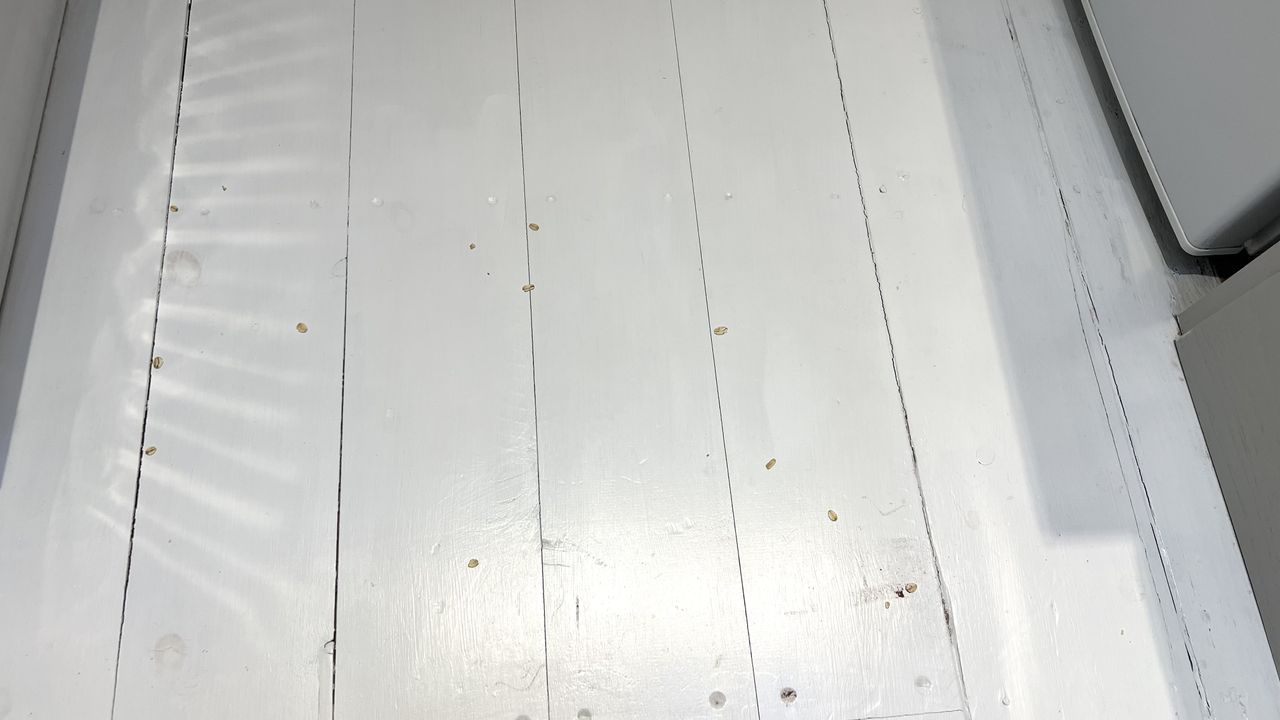 Leftover oats