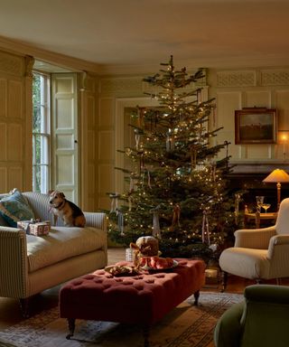 Traditional Christmas scheme with a tree decorated with ribbon bows