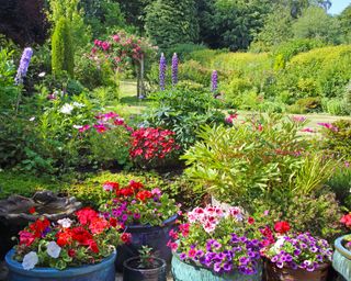 containers of colorful flowers in a large garden