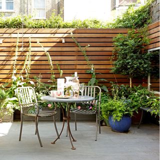 decking area with wooden fence and potted plants