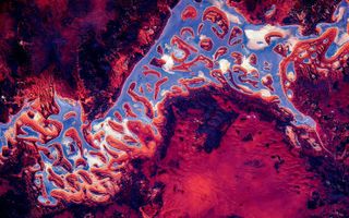 Kelly photographed Lake Wells, Western Australia, in a series of many "Earth art" images taken from the International Space Station. Kelly liked some of those images enough to blow them up to hang in his home.