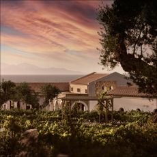 Lesante Collection photos of Greek island of Zakynthos