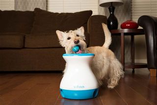 iFetch Frenzy Dog Ball Launcher