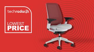 Steelcase Series 2 Ergonomic Office Chair