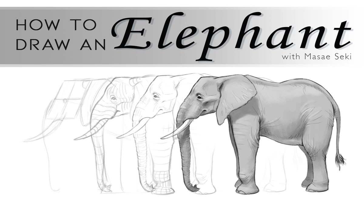 How to Draw a Realistic Elephant Head and Face - Really Easy Drawing  Tutorial