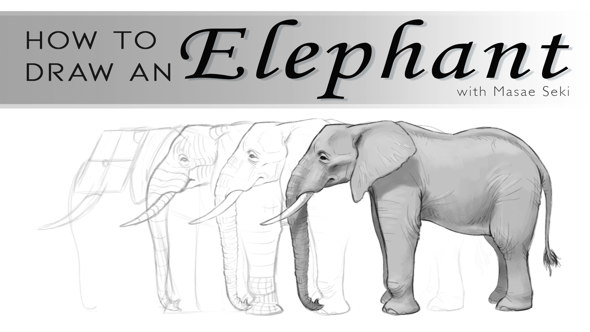 How to draw an African elephant. Drawing tutorial.