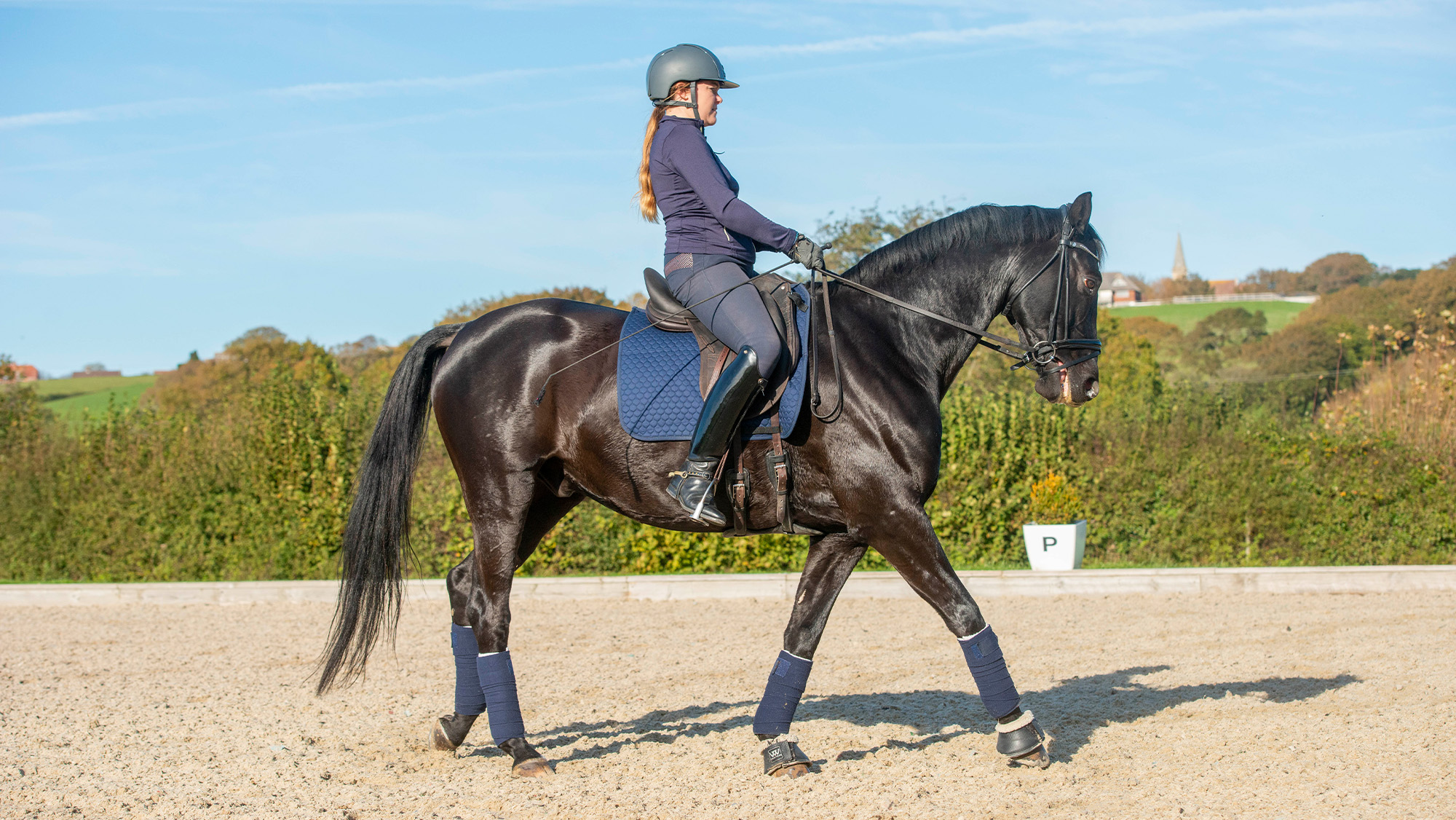 Rider on dark bay horse riding in arena in walk