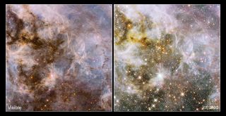 Comparing Optical and Infrared Hubble Views of the Tarantula Nebula