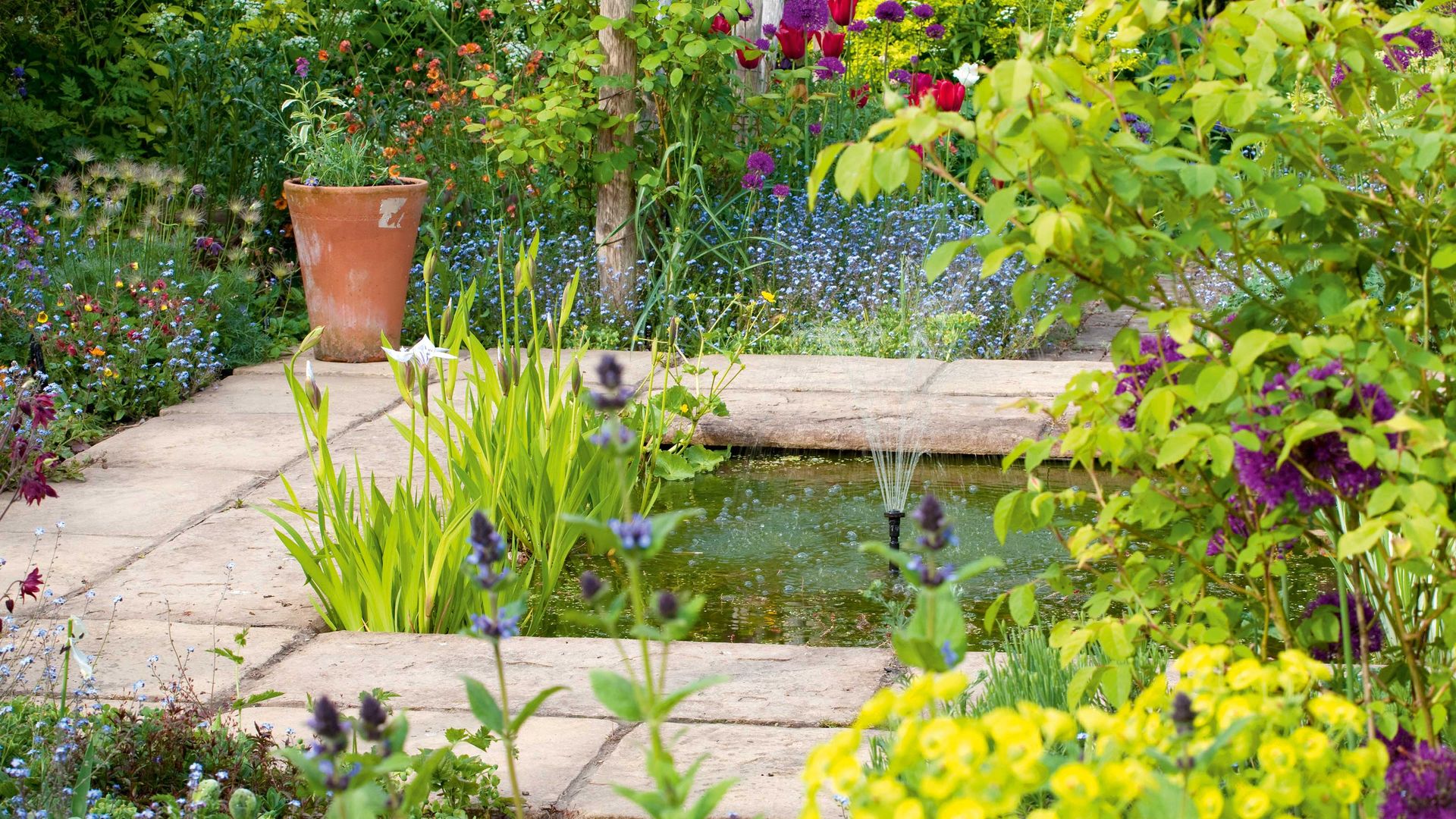 How to clean a pond without draining it 5 simple steps for a quick