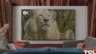 TCL 8K streaming through The Explorers app