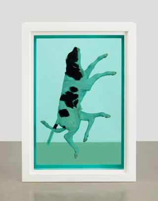 Damien Hirst, The Ascension, 2003. Glass, painted stainless steel, silicone, acrylic, monofilament, calf, and formaldehyde solution.