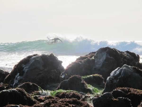 Surfing on Mike Broderick's birthday