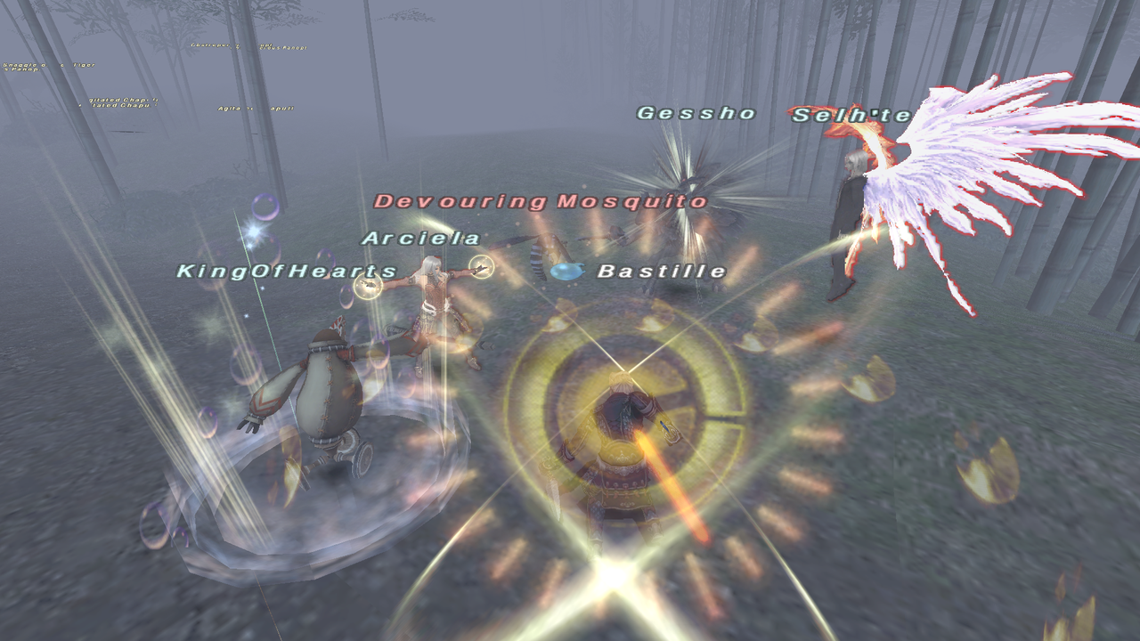 Final Fantasy 11