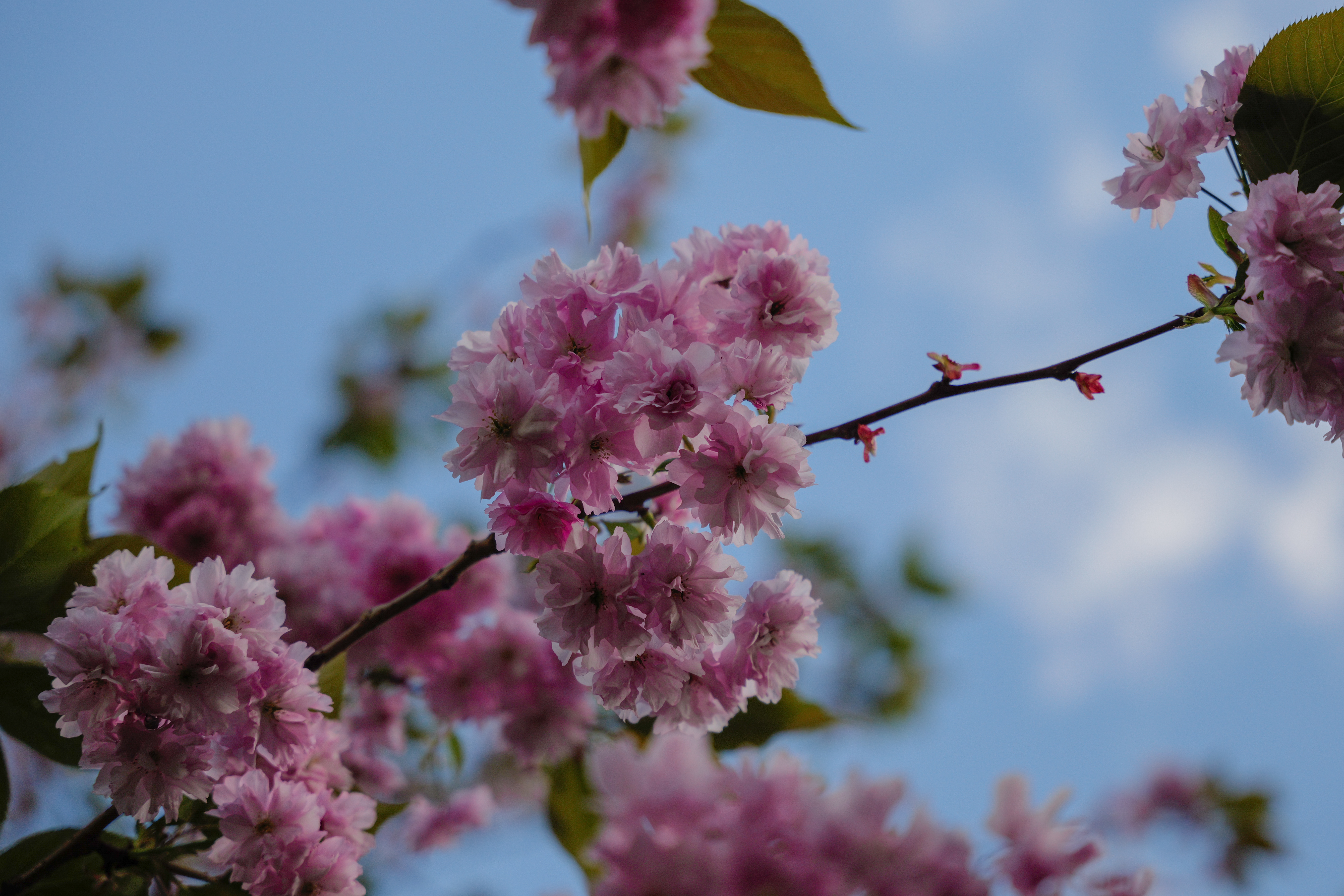 A photo taken on a Leica SL3-S mirrorless camera