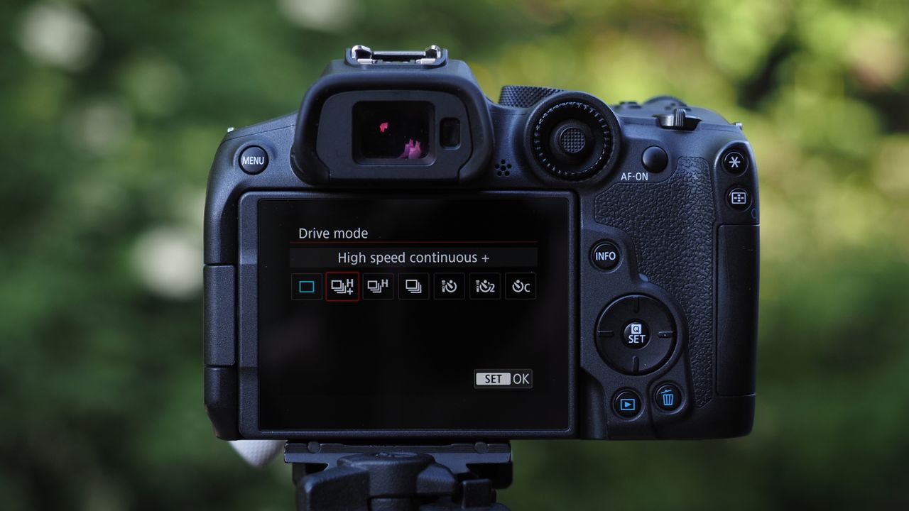 Canon EOS R7 sample