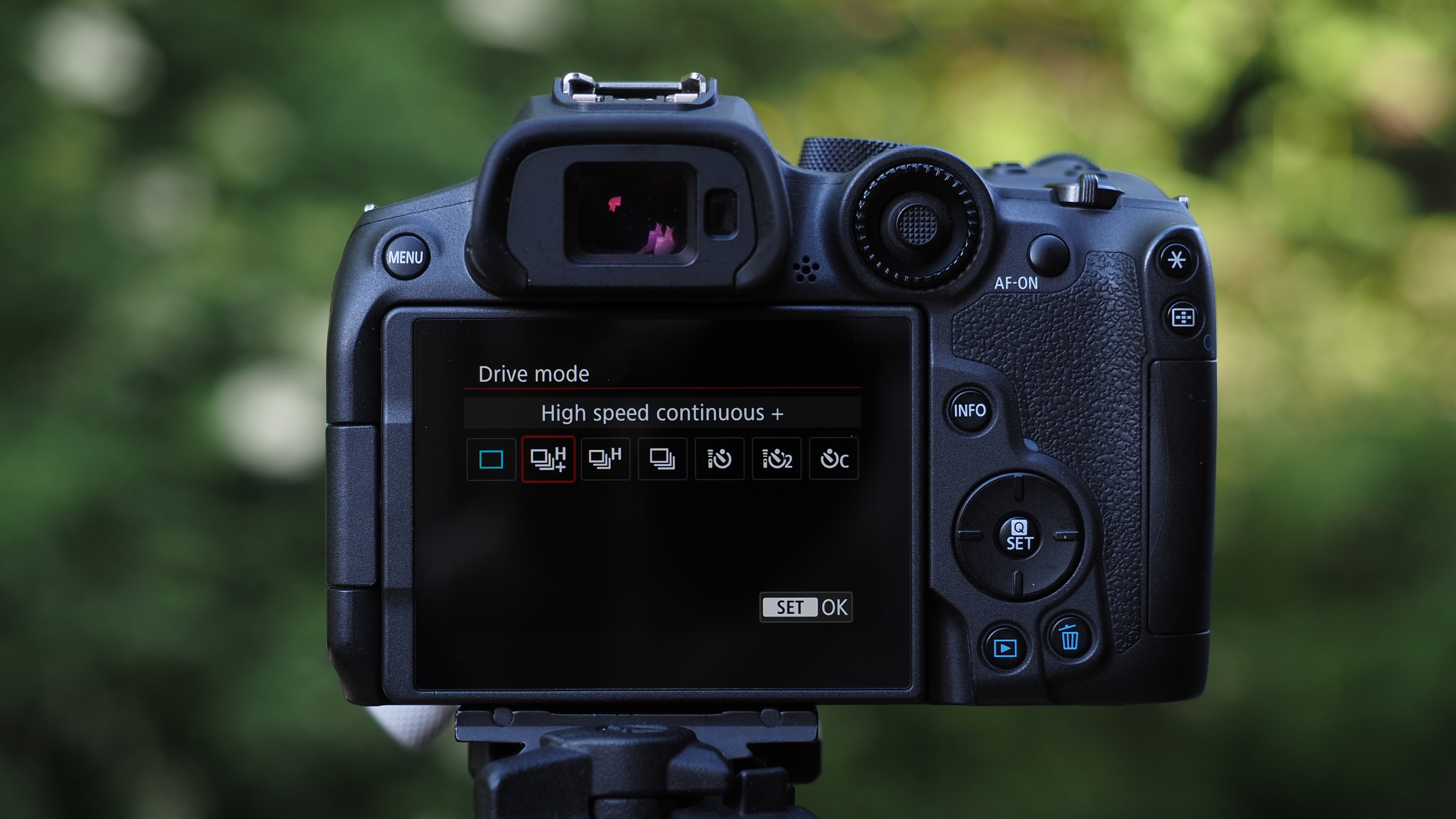 Canon EOS R7 sample