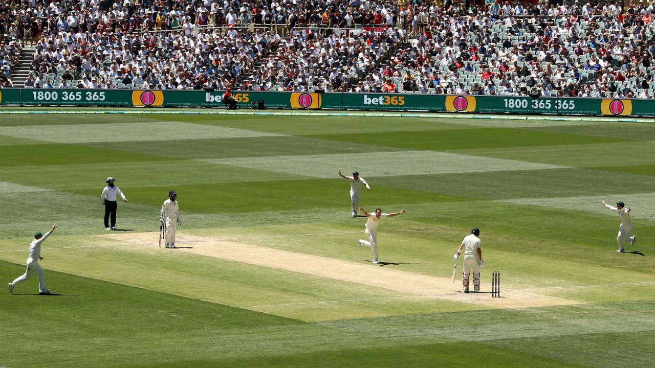 Josh Hazlewood Joe Root Adelaide Ashes cricket