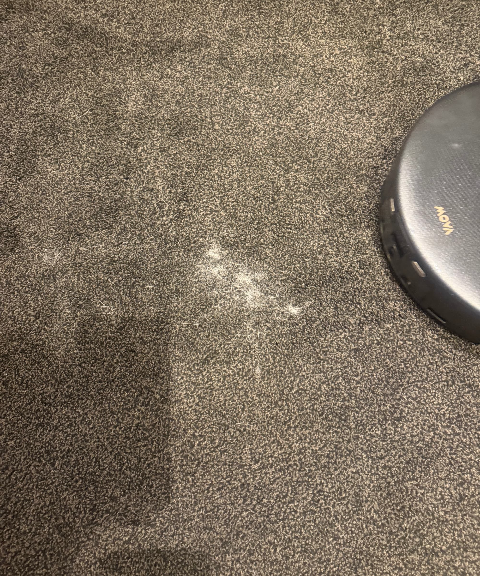 A robot vacuum going over a carpet with pet hair