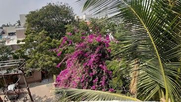 Rear camera wide shots in daylight- brighter colours, less of a white cast
