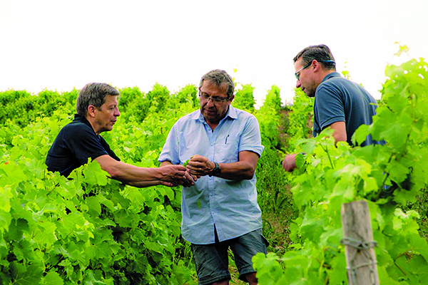 From-left-Arnaud-Lionel-and-Jean-Christophe-Bourgeois-Domaine-Henri-Bourgeois.-Jean-Philippe-Ehrmann.jpg