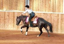 Reining-Tabitha-Sternberg.jpg