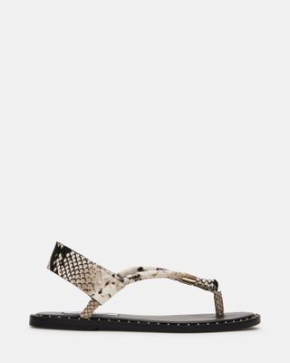 Meduza Snake Studded Thong Sandal | Women's Sandals 
 Steve Madden