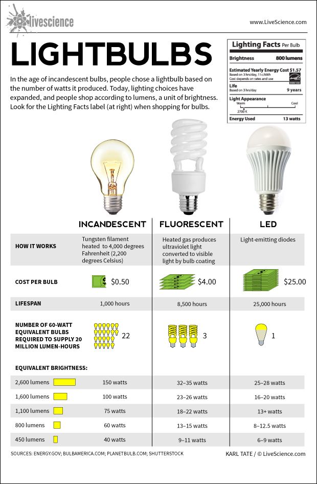 Lightbulbs: Incandescent, Fluorescent, LED (Infographic) | Live Science
