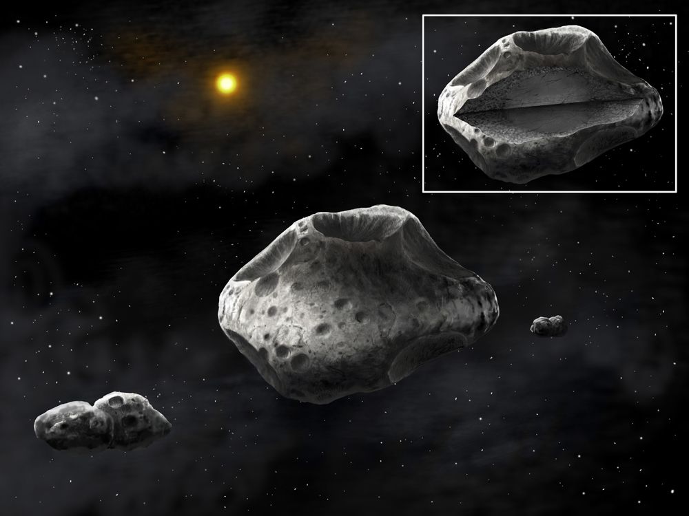 Artist&#039;s Concept of Asteroid (87) Sylvia