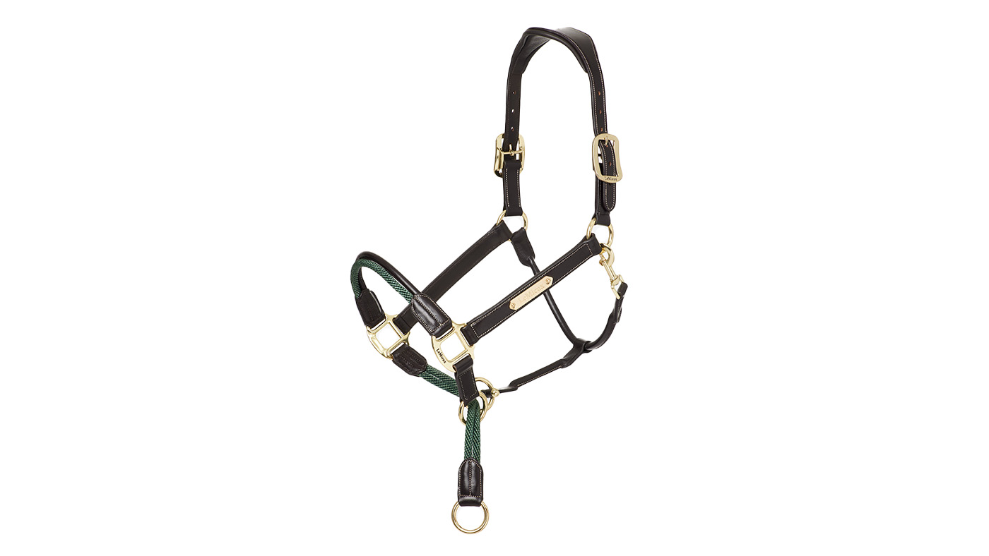 LeMieux Rope Control Headcollar