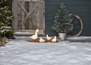 Christmas Duck & 3 Ducklings on Porch in the snow, with a wooden door and a Christmas tree