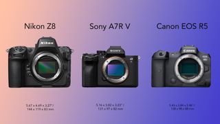 Size difference between the Nikon Z8, Sony A7R V and Canon EOS R5