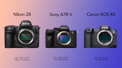 Nikon Z8 Vs Sony A7R V Vs Canon EOS R5 | Space