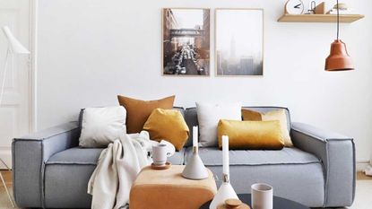 Fy photo of homeware items in living room