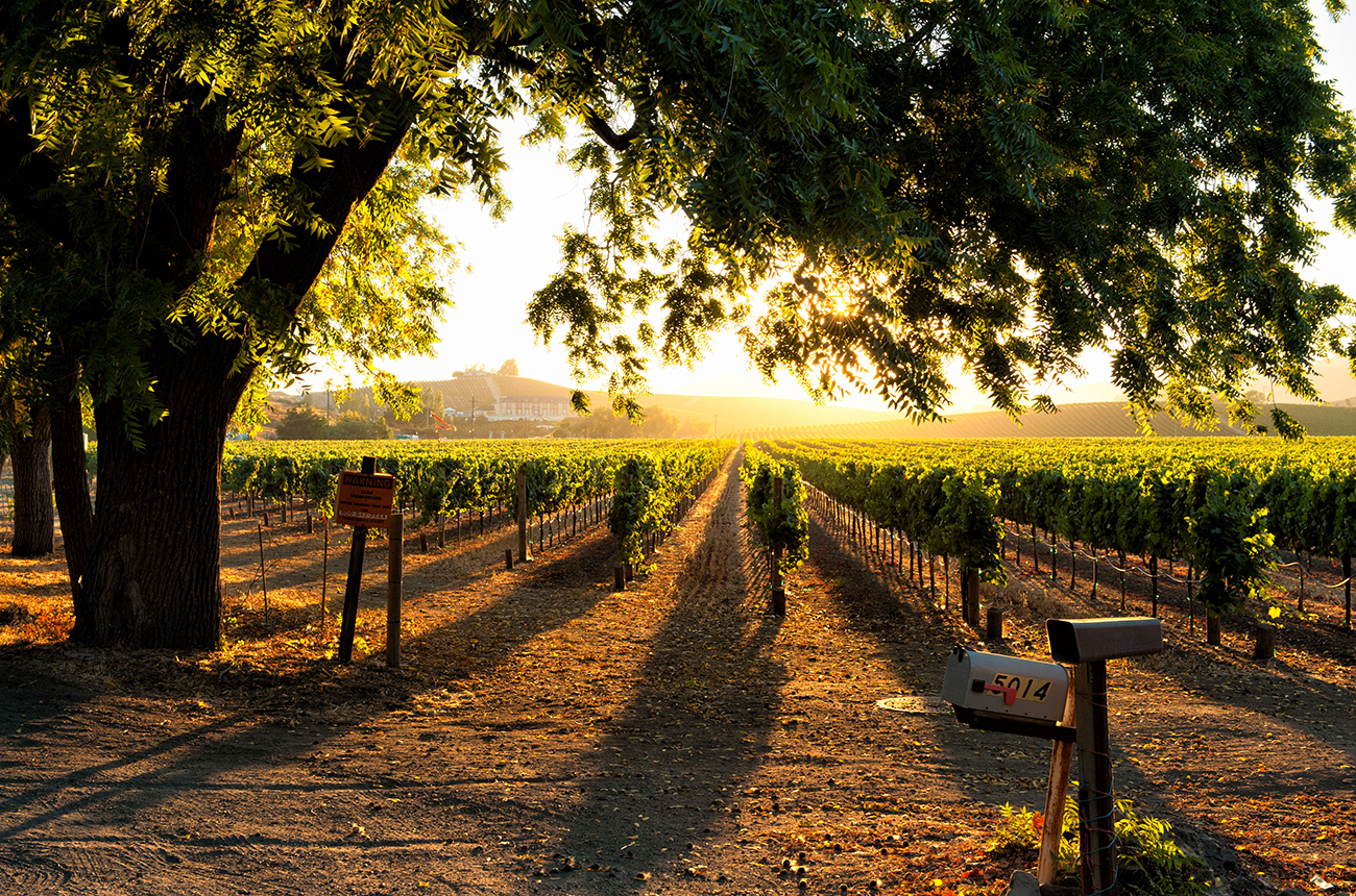 Sonoma-wine-country.jpg
