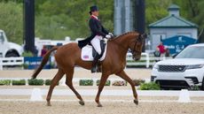 Kentucky dressage Piggy French