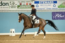 Anand-Patel International dressage rider Anand Patel & Celana T competing in the Prix St George at the BD Winter Regionals 2018