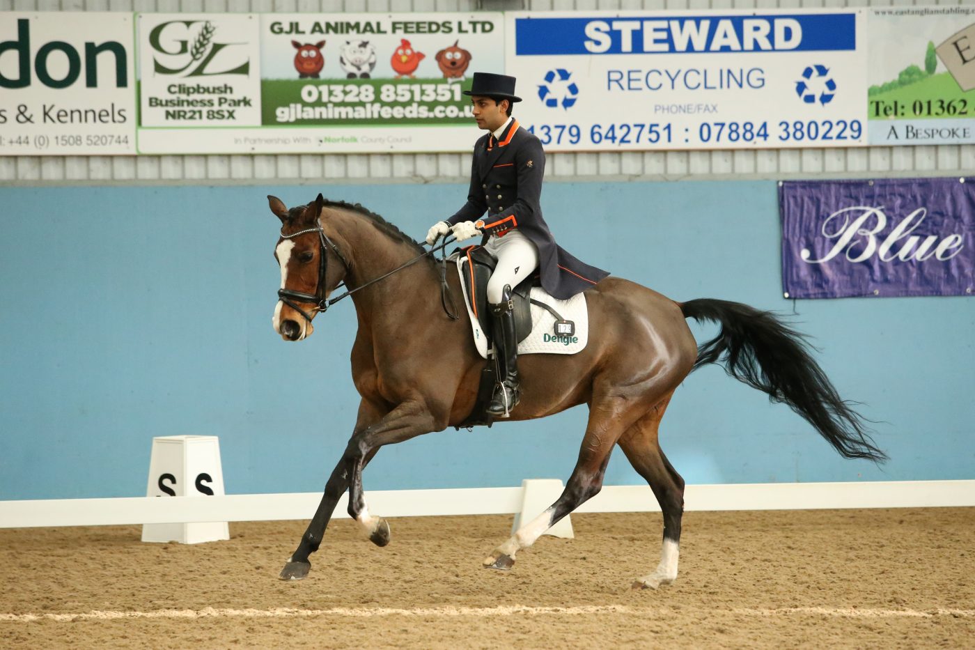 Anand-Patel International dressage rider Anand Patel &amp;amp; Celana T competing in the Prix St George at the BD Winter Regionals 2018