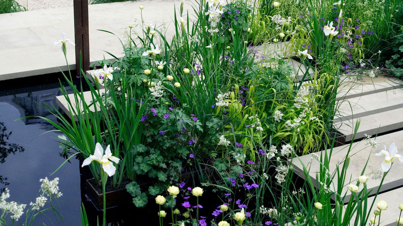 urban garden with water feature hard landscaping and planting